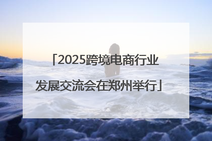 2025跨境电商行业发展交流会在郑州举行